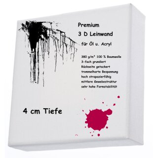L+P Keilrahmen 3D 20 x 20 cm Premium